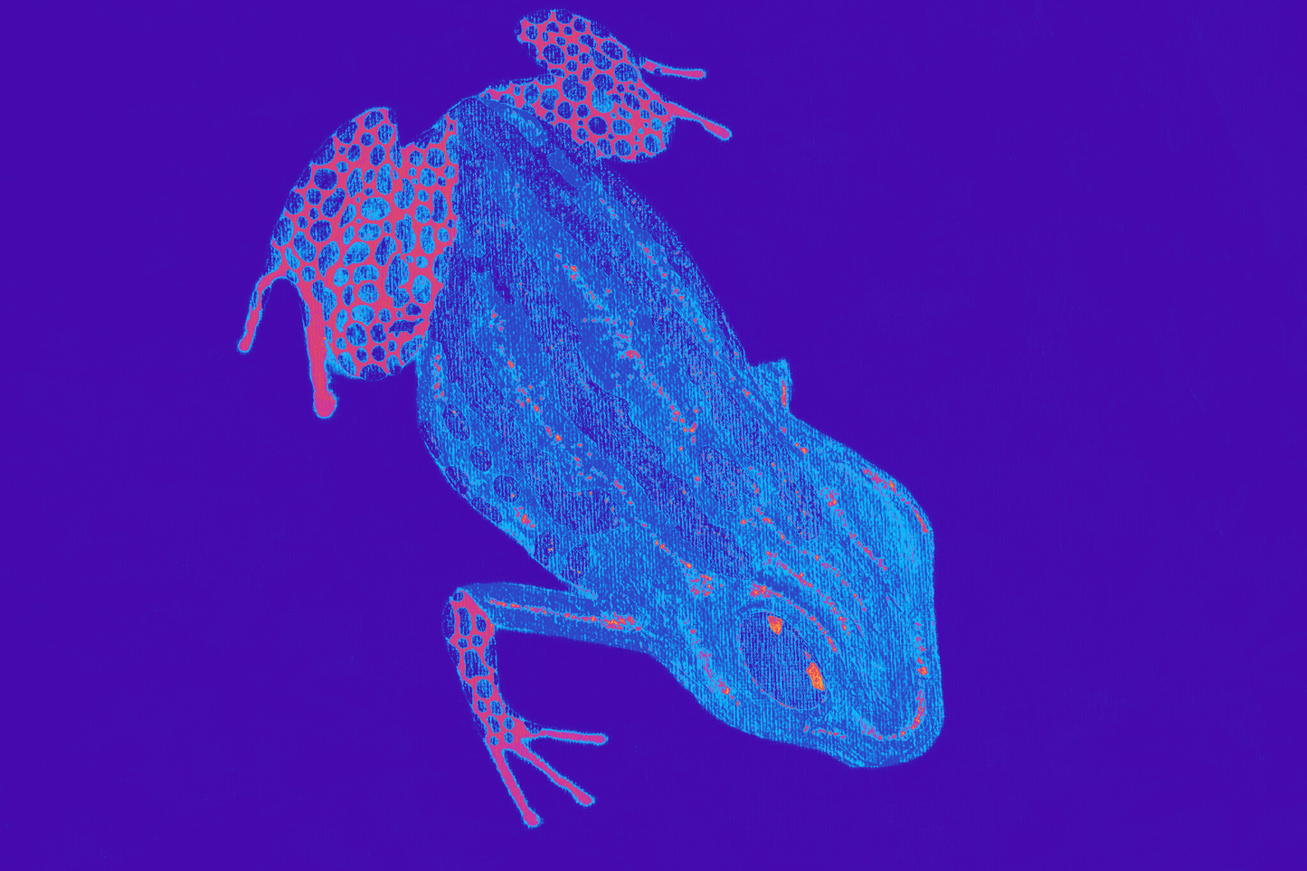 March of Frogress Alternate Design Photo Art Print